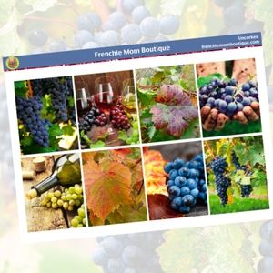 Erin Condren Planner Stickers